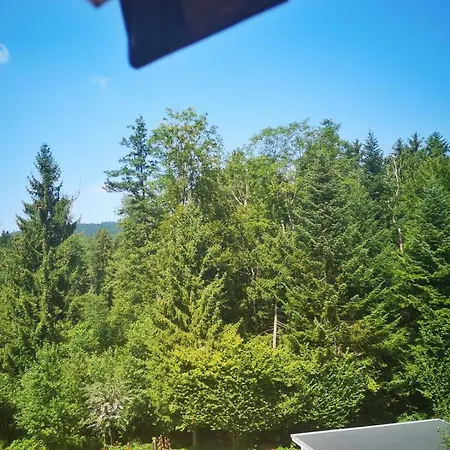 Nocksteinblick *